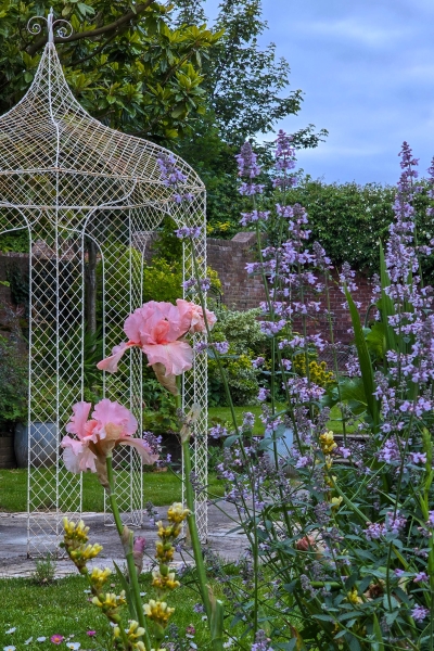 Faversham Open Gardens